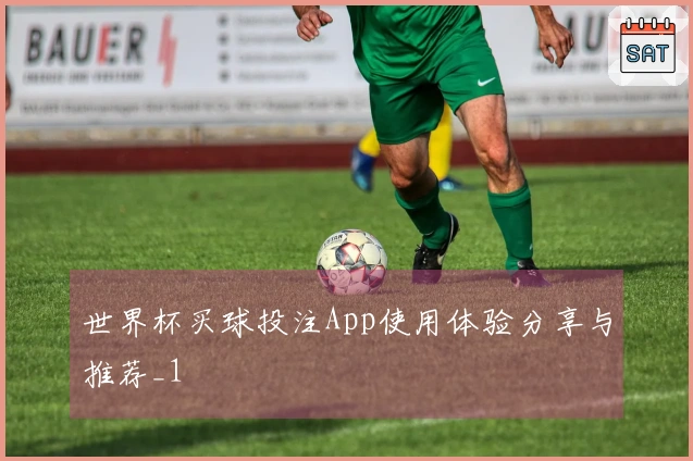 世界杯买球投注App使用体验分享与推荐_1
