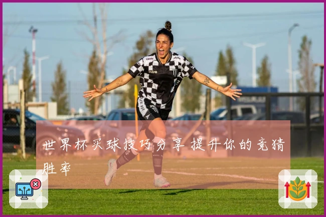 世界杯买球技巧分享 提升你的竞猜胜率