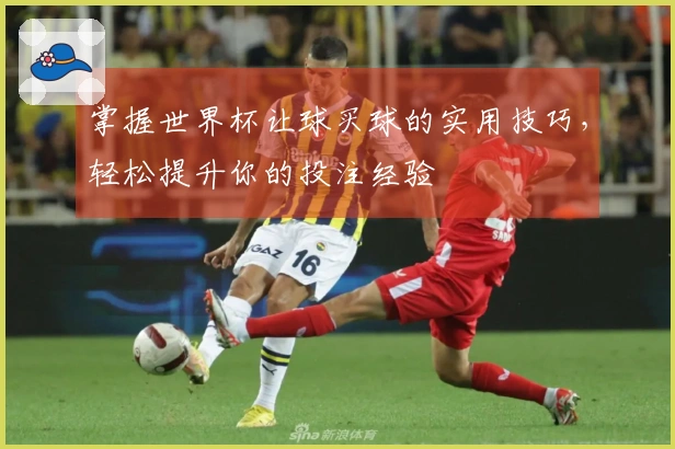 掌握世界杯让球买球的实用技巧，轻松提升你的投注经验