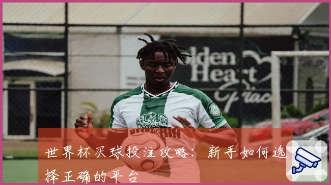 世界杯买球投注攻略：新手如何选择正确的平台