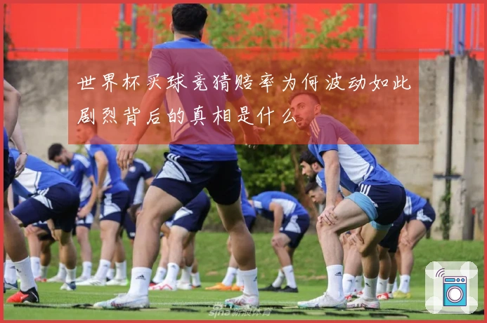 世界杯买球竞猜赔率为何波动如此剧烈背后的真相是什么