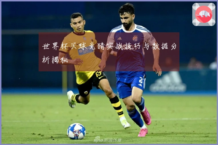 世界杯买球竞猜实战技巧与数据分析揭秘