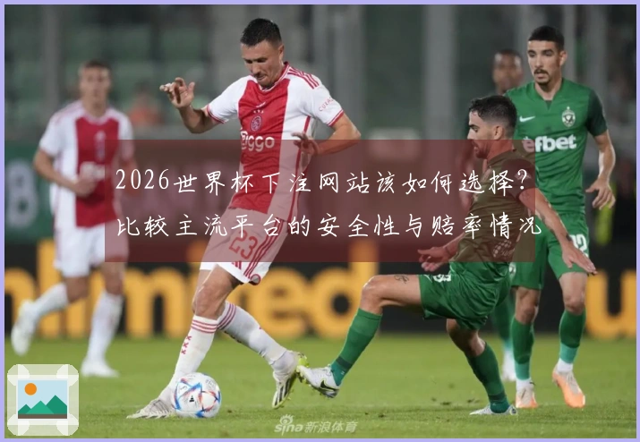 2026世界杯下注网站该如何选择？比较主流平台的安全性与赔率情况