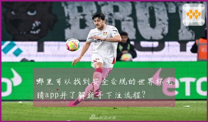 哪里可以找到安全合规的世界杯竞猜app并了解新手下注流程？