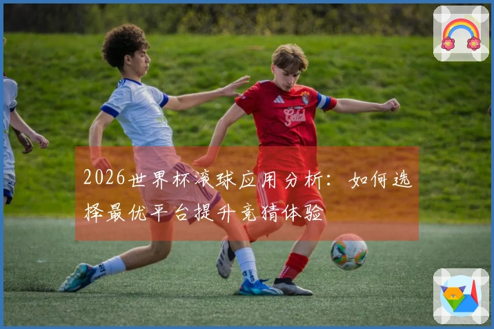 2026世界杯滚球应用分析：如何选择最优平台提升竞猜体验