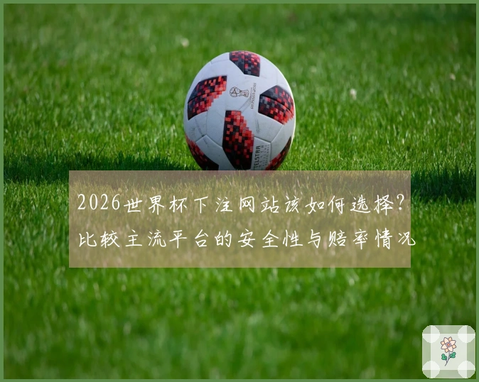 2026世界杯下注网站该如何选择？比较主流平台的安全性与赔率情况