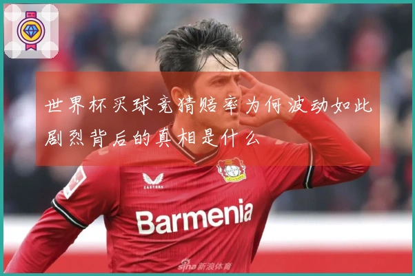世界杯买球竞猜赔率为何波动如此剧烈背后的真相是什么